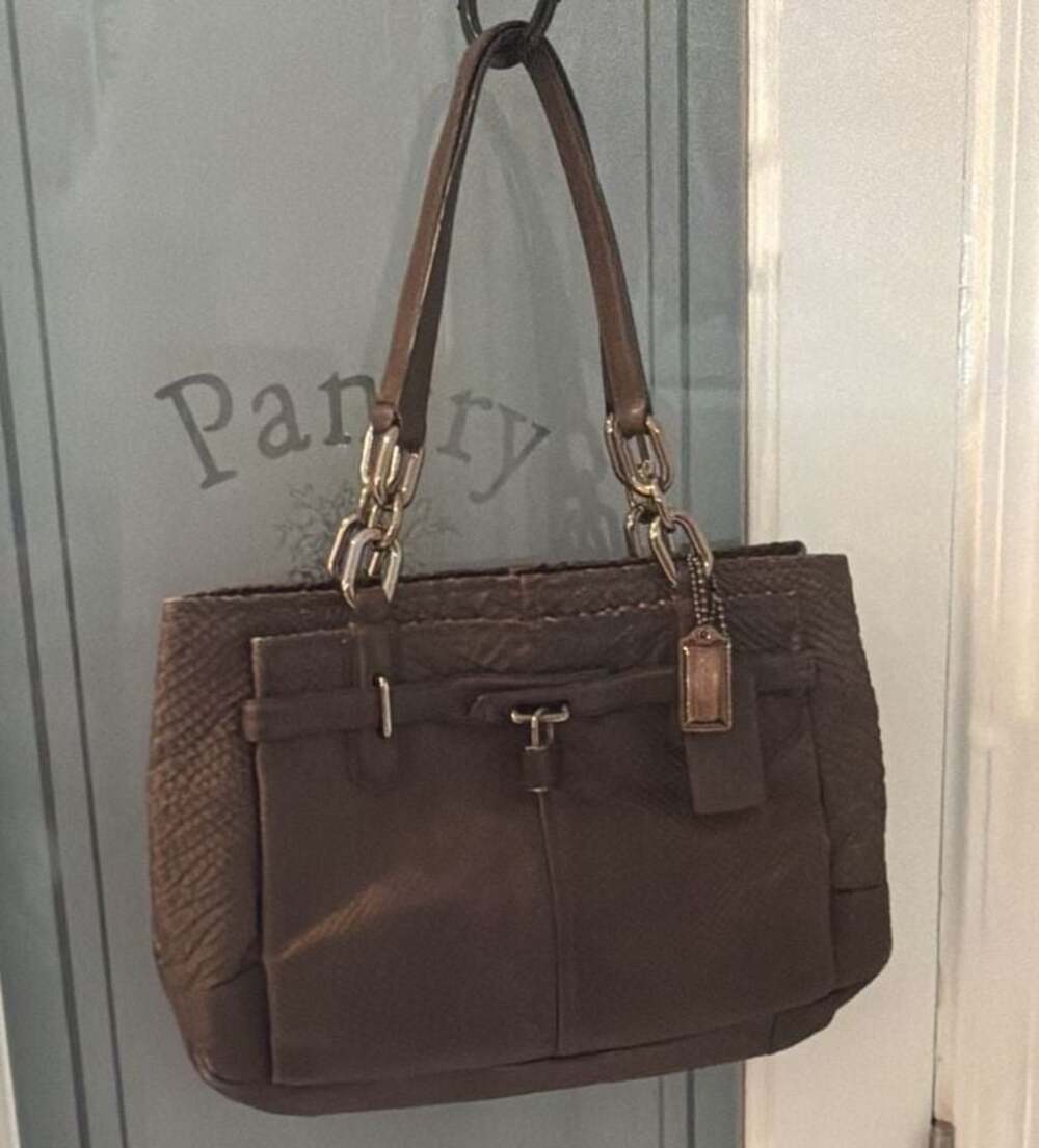 COACH Jayden Bronze Exotic Python Embossed Leather Satchel